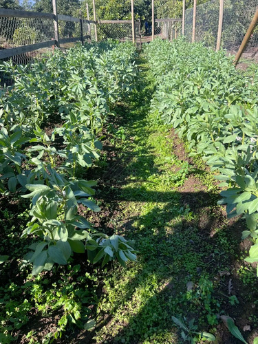 Se Vende Casa En Parcela, Boco, Quillota