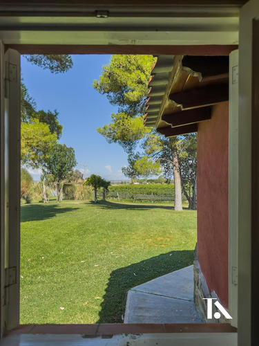 Finca Productiva En Ugarteche Y Casa De Huespedes