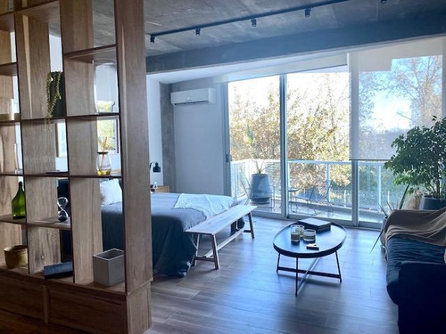 Imagen 2 de 24 de Departamento - Ayres Vila