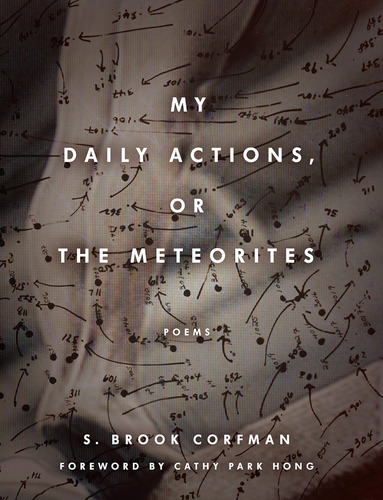 Libro:  My Daily Actions, Or The Meteorites (poets Out Loud)