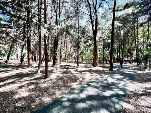 Imagen 22 de 26 de El Mejor Terreno De Colinas Del Bosque