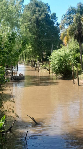 Cabañas Verdes