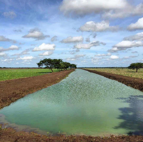 Imagen 13 de 19 de Finca Agropecuaria En Guárico Con Pista De Aterrizaje