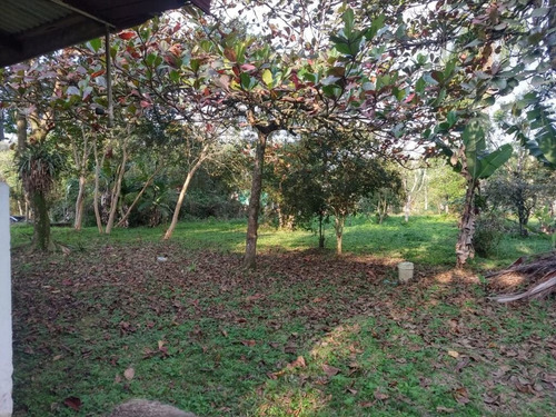 Imagem 13 de 15 de Charmosa Chácara Localizada Na Vila Das Palmeiras - Preço Imperdível - Ch0139