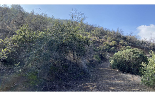 Estupendo Sitio En Condominio Los Quillayes De El Arrayán.