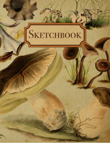 Libro: Vintage Mushroom Sketchbook: Pastel Fungi Drawing Not