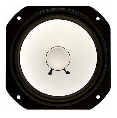 Amplificador Bold North Audio Ms10-w Para Ns10 -negro