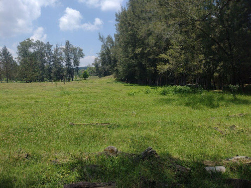 Terreno Campestre A La Venta En Frac. Manantial , Xalapa, Veracruz