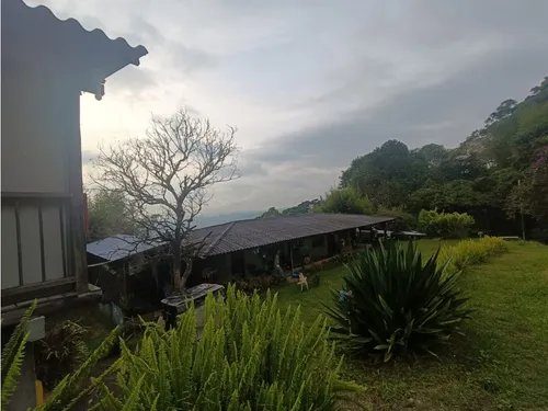 Se Vende Finca En Salento - Quindío