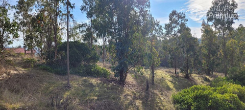Terreno En Venta En Comuna De Navidad, 5.000 M2, Vi Región,