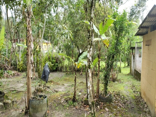 Chácara Em Itanhaém - 2076 - 34451334