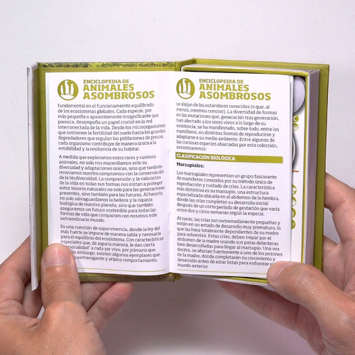 Luminias Clap! Enciclopedia De Animales Asombrosos