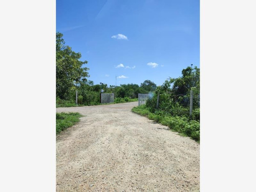 Imagen 5 de 9 de Terreno En Venta Chicxulub Puerto