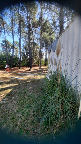 Imagen 6 de 28 de Terreno En Balneario Argentino.