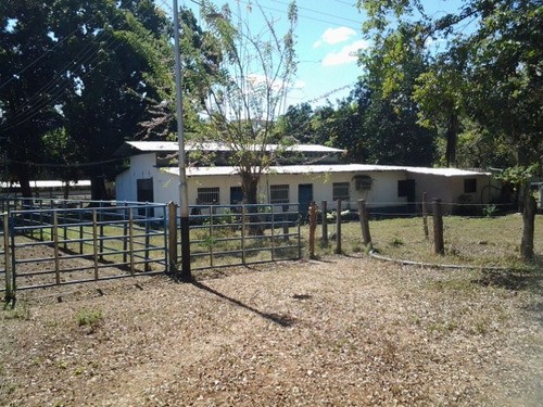 Granja Avicola Ganadera Minera Tinaquillo, Negociable