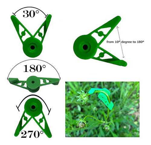 Clips De Entrenamiento De Plantas De Entrenador De Bud Clips