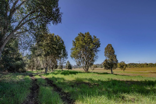Parcela En Hacienda Aguas Del Maullin