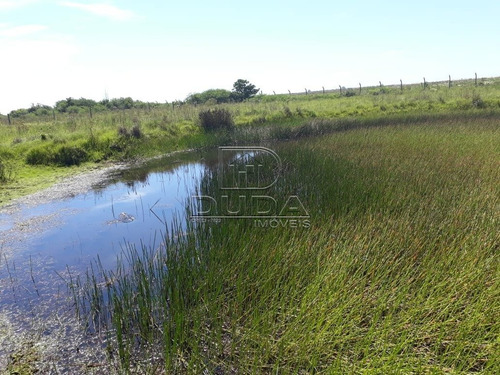 Imagem 3 de 3 de Area - Zona Sul - Ref: 28142 - V-28140
