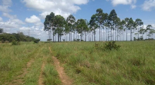 Imagen 26 de 30 de Vendo Hacienda De 990 Hectáreas En Puerto Gaitán En El Meta