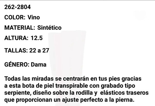 Botas Andrea Vino 2622804 | Envío gratis