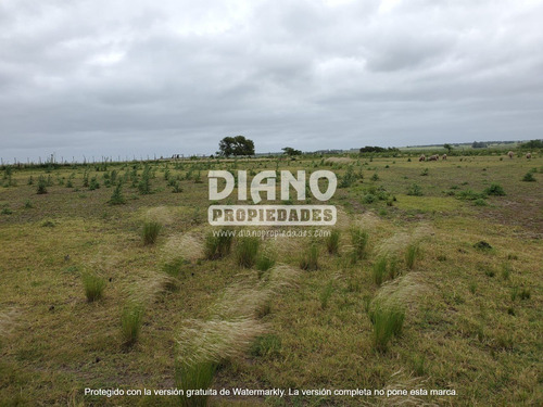 Imagen 7 de 9 de Casa De Campo - Chacra De 1 Ha