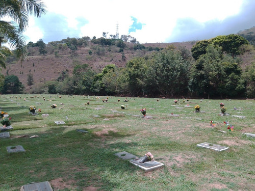 Imagen 3 de 6 de Venta De Dos Parcelas De Dos Puestos En Cementerio Del Este
