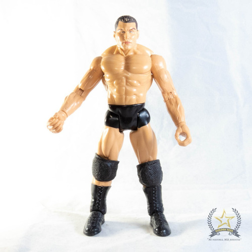 Luchadores P2 Randy Orton  Golden Toys