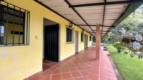 Mr. Finca Sector Pedraza Chorro El Indio