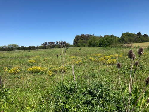 Imagen 2 de 3 de Chacra En Venta San Antonio De Areco