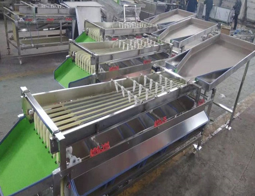 Seleccionadora Clasificadora Tamaño Fruta 2 A 4cm Tecnodeliv