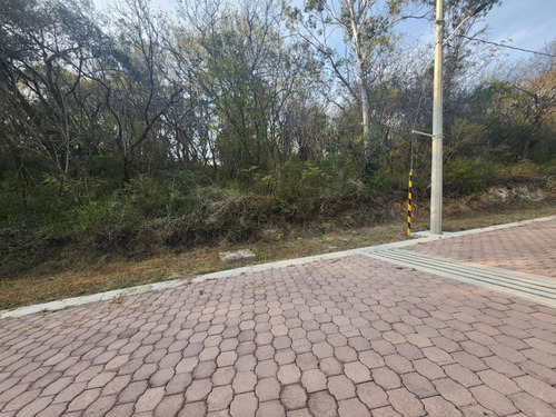 Venta Lote Gladiola 34 Cerca De Acceso Con Vistas Panorámicas Y Todos Los Servicios Inlcuyendo Proyecto En Fracc Rancho San Diego Ixtapan De La Sal Edomex