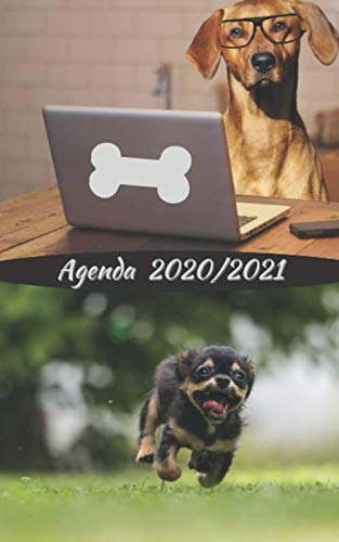 Agenda Perro - Dog - Chien Curso Lectivo 2020-2021 Español