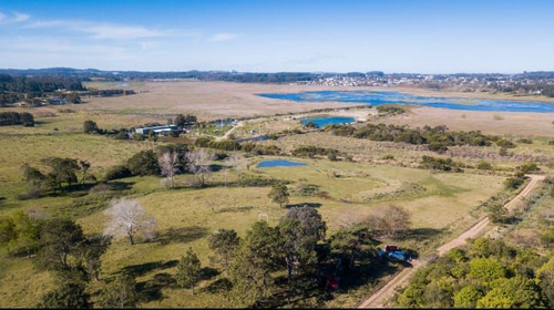 Quinta En Venta  En Laguna Del Diario (ref: Bpv-7880)