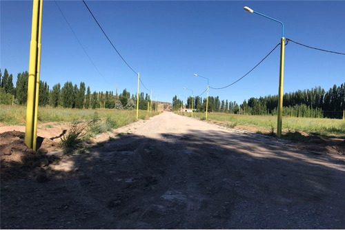 Imagen 8 de 30 de Terreno La Consuelo 499 Mts