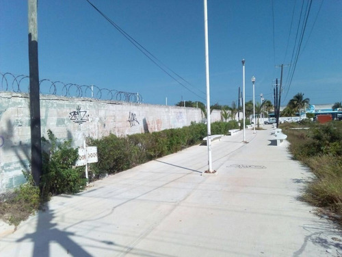 Imagen 1 de 5 de Terreno En Renta Sobre Av. 29 En Progreso