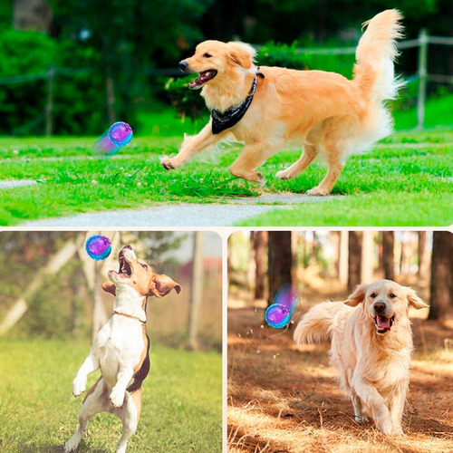 Imagen 7 de 7 de Juguetea Pelotas Para Perros Gigwi L Novedad!
