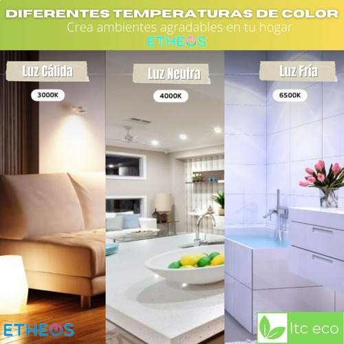Dicroica Led Foco 6w 220v Dimerizable Fria Calida 38° 100°