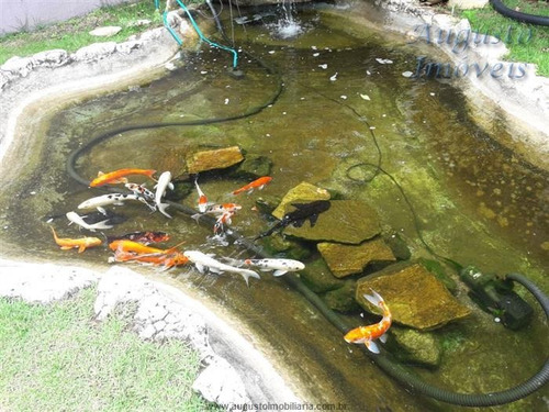 Imagem 5 de 23 de Chácaras À Venda Em Piracaia/sp - Compre O Seu Chácaras Aqui! - 1472411