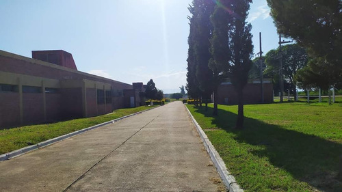 Galpon En Alquiler En Centro Logistico Cruz Alta