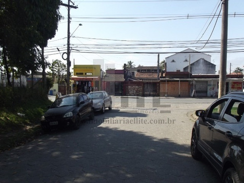 Imagem 16 de 17 de Terreno - Te00040 - 32674041
