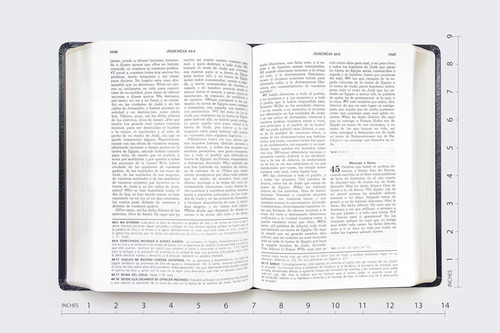 Biblia De Estudio De La Vida Plena · Imit Piel · Rvr60