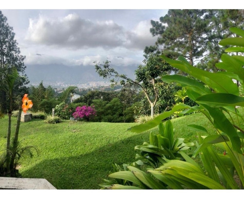 Imagen 2 de 3 de Vendo Casa 1500m2 4h+2s/6b+2s/8p Cerro Verde 0360