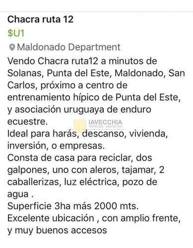 Imagen 4 de 13 de Venta De Chacra De 3has En Ruta 12