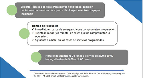 Póliza De Servicio De Tecnología De La Información