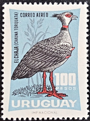 Uruguay Aves, Sello Aéreo Yv A281 Chajá Año 1966 Mint L19274