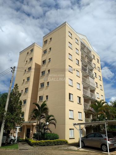 Imagem 4 de 30 de Apartamento Para Aluguel Em Vila Nova Teixeira - Ap002501
