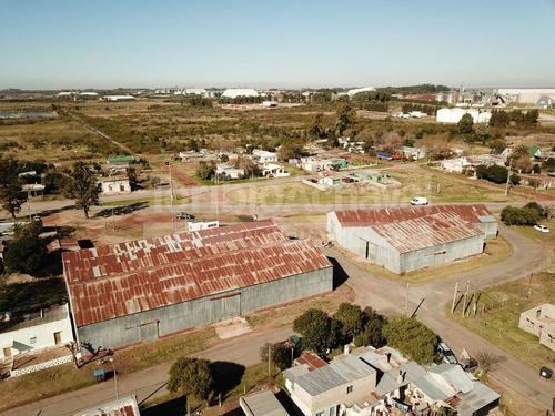 Deposito - Logística - Local - Nueva Palmira