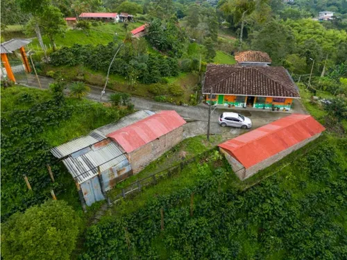En Venta Finca Cafetera Certificada En Filandia Quindio