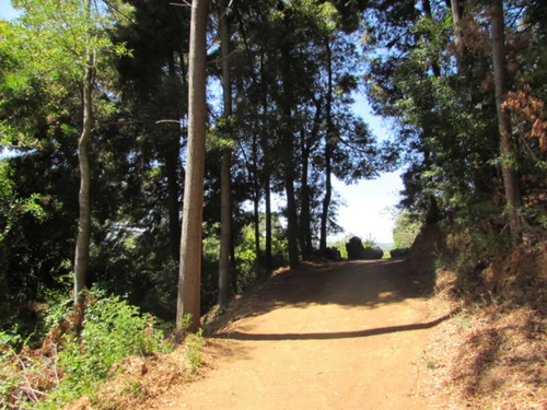 Cauquenes // Viña // Campo Productivo (169679)