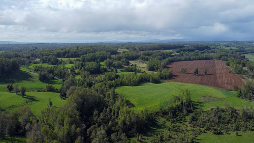Campo En La Unión Cercano Al Lago Ranco 27,4 Hectáreas